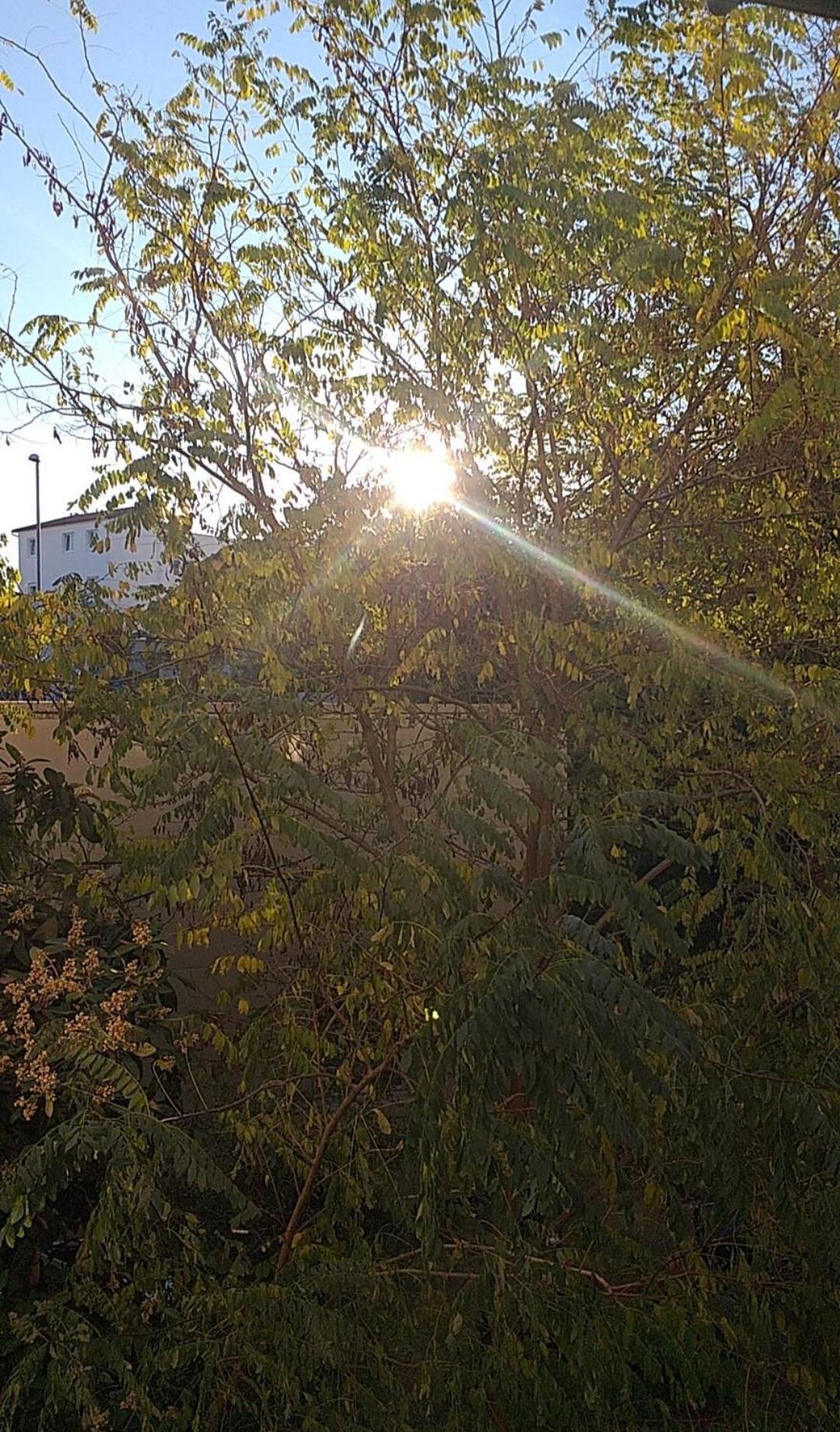 Apartment Balcony And Parking, 1Min To Shop, Near Beach Pula